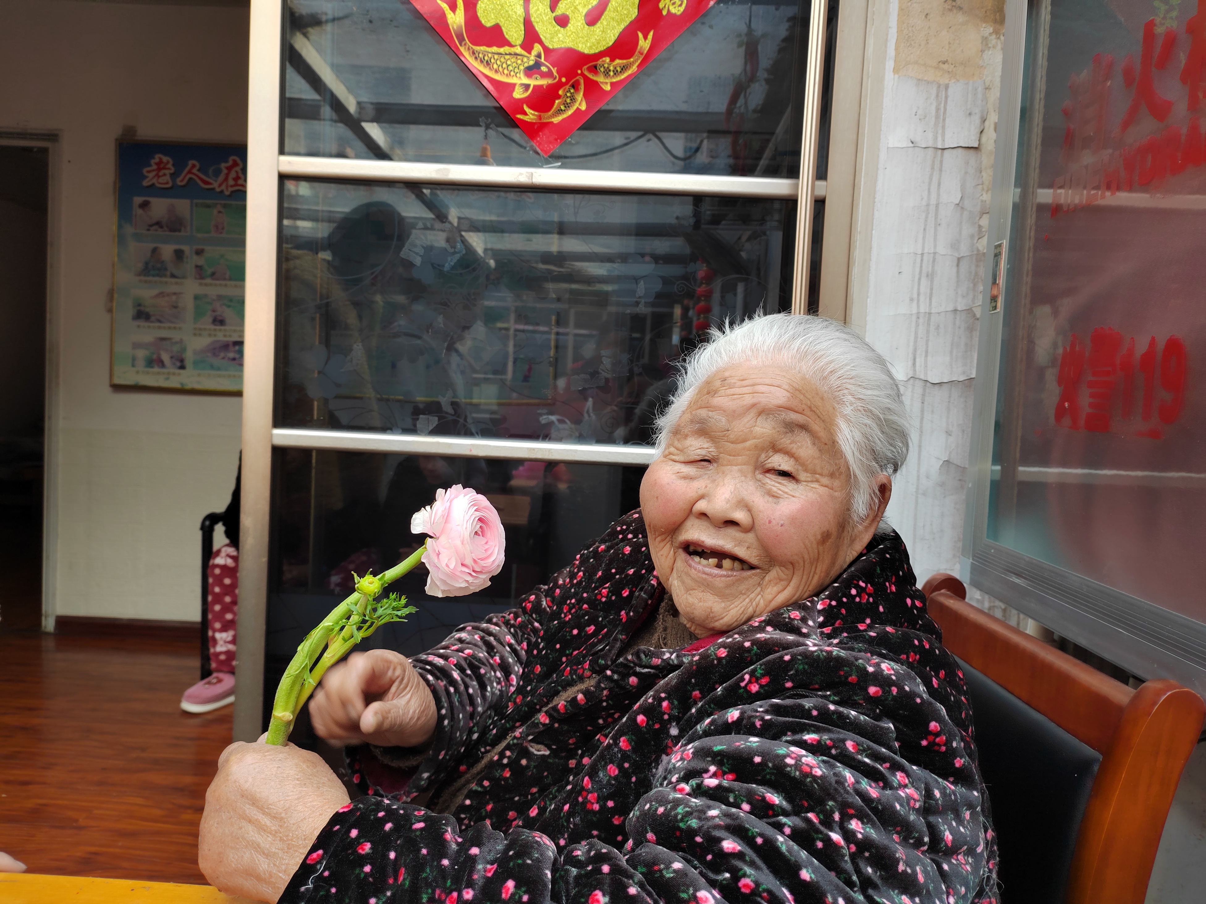 花儿一样.jpg