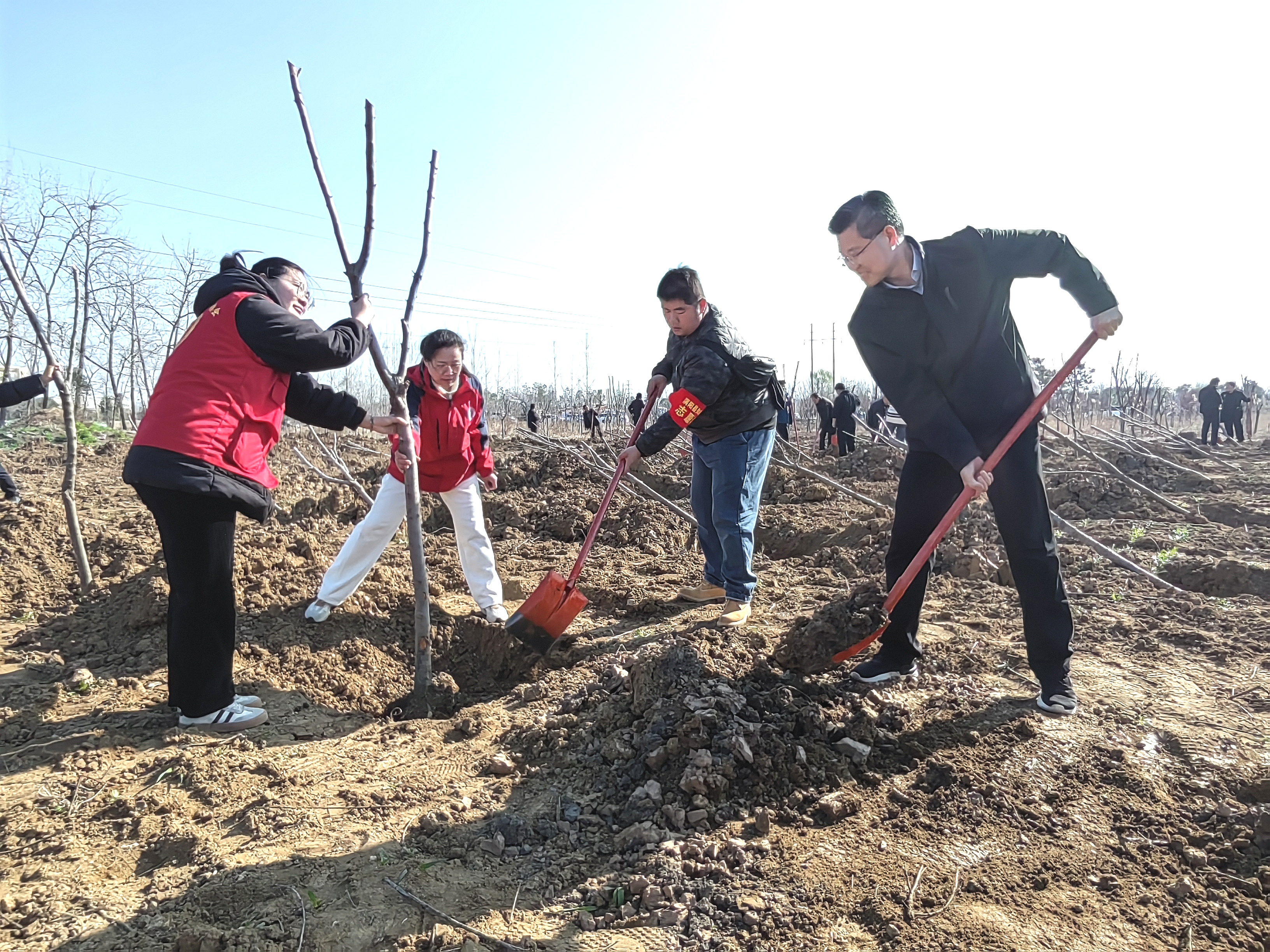 7给树苗填土中.jpg